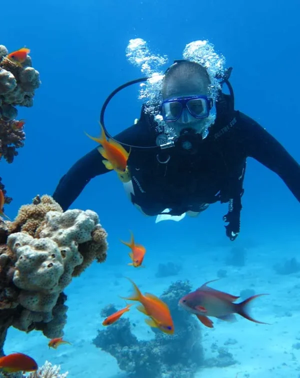 Professional diving program